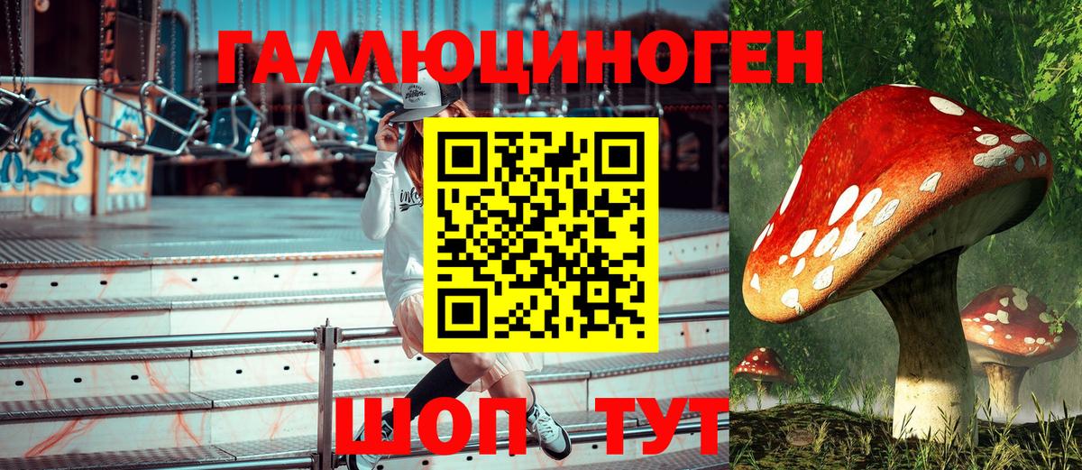 Галлюциногенные грибы мицелий Новосибирск