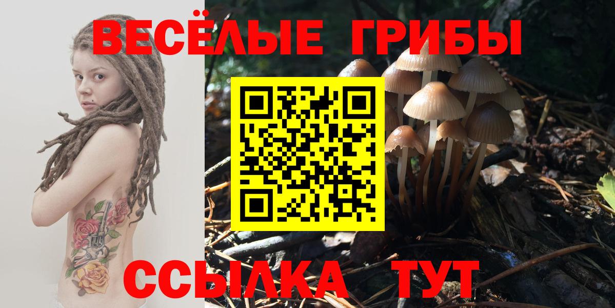 Новосибирск  Псилоцибиновые грибы GOLDEN TEACHER  Вход с VPN 